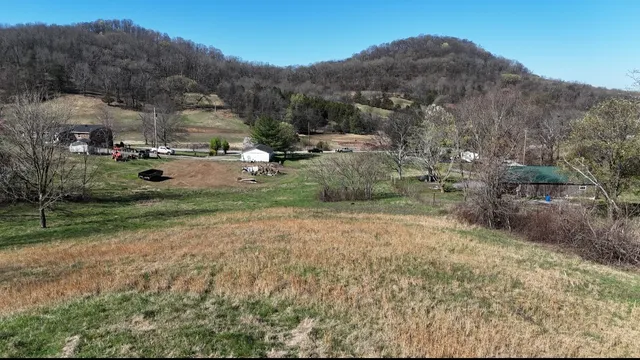 a view of a dry yard with trees