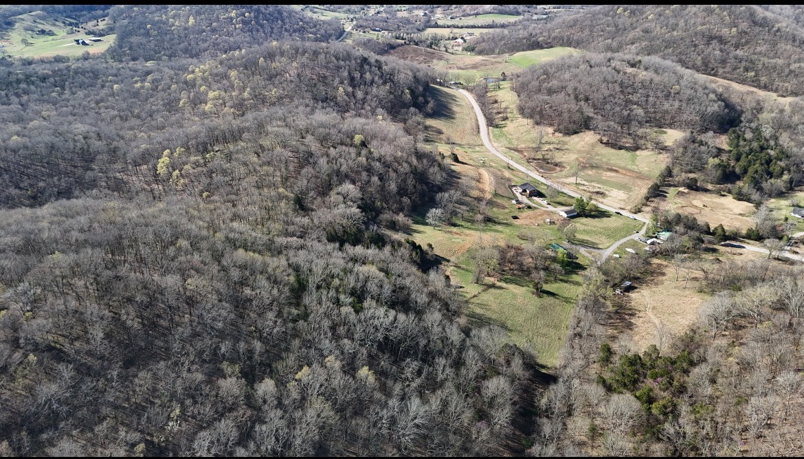 0 Browning Branch Road Bethpage, TN 37022 - Photo 10 of 16 a view of a dry yard with trees