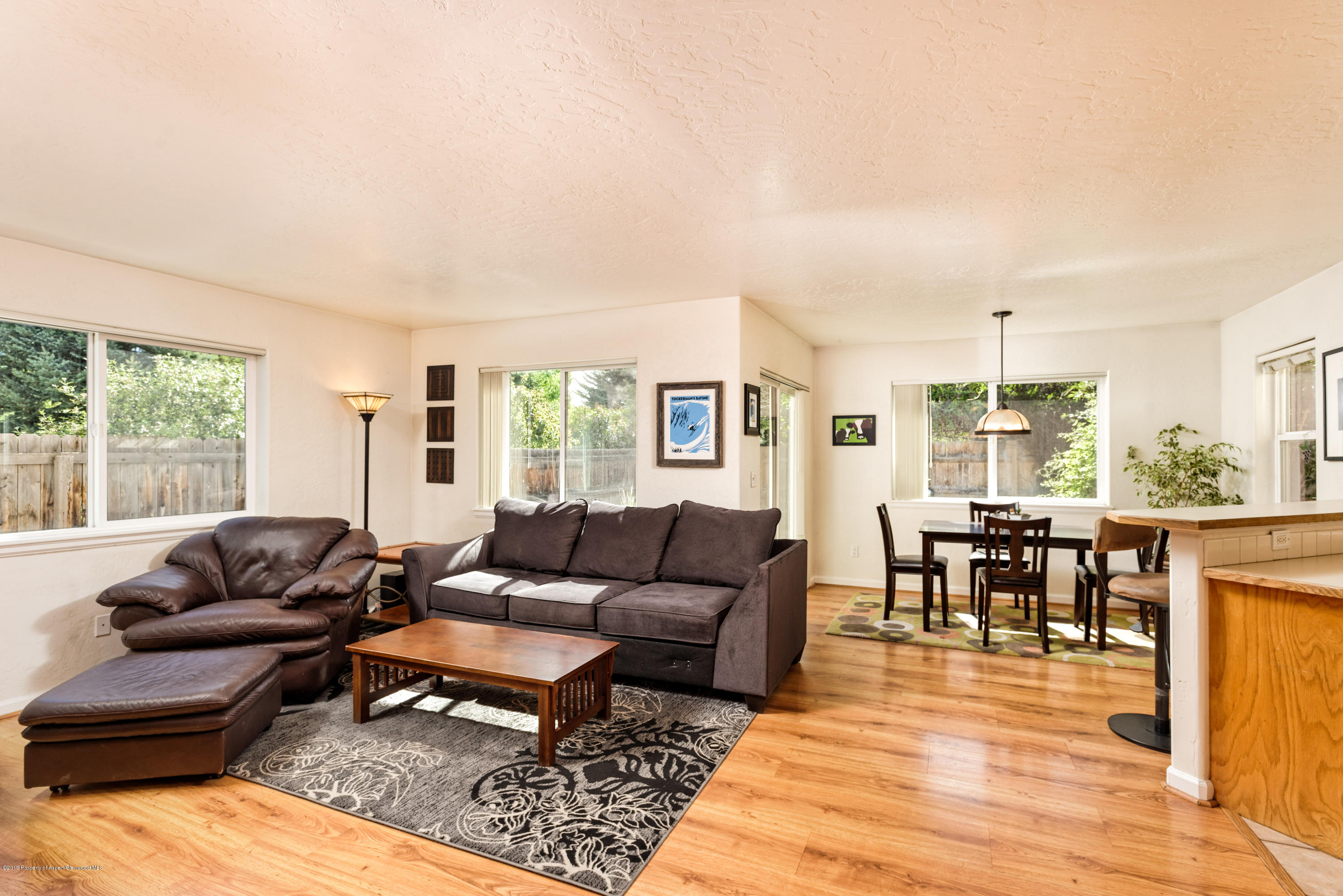 1050 Village Road Carbondale, CO 81623 - Photo 2 of 24 1050Village_HiRes013