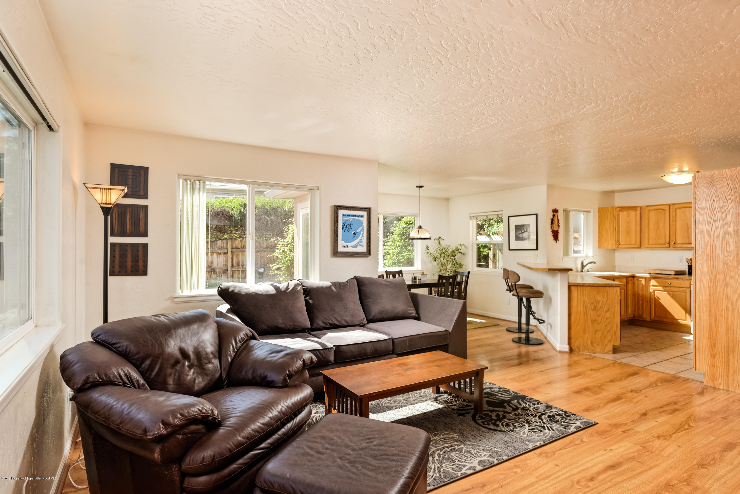 1050 Village Road Carbondale, CO 81623 - Photo 3 of 24 1050Village_HiRes012