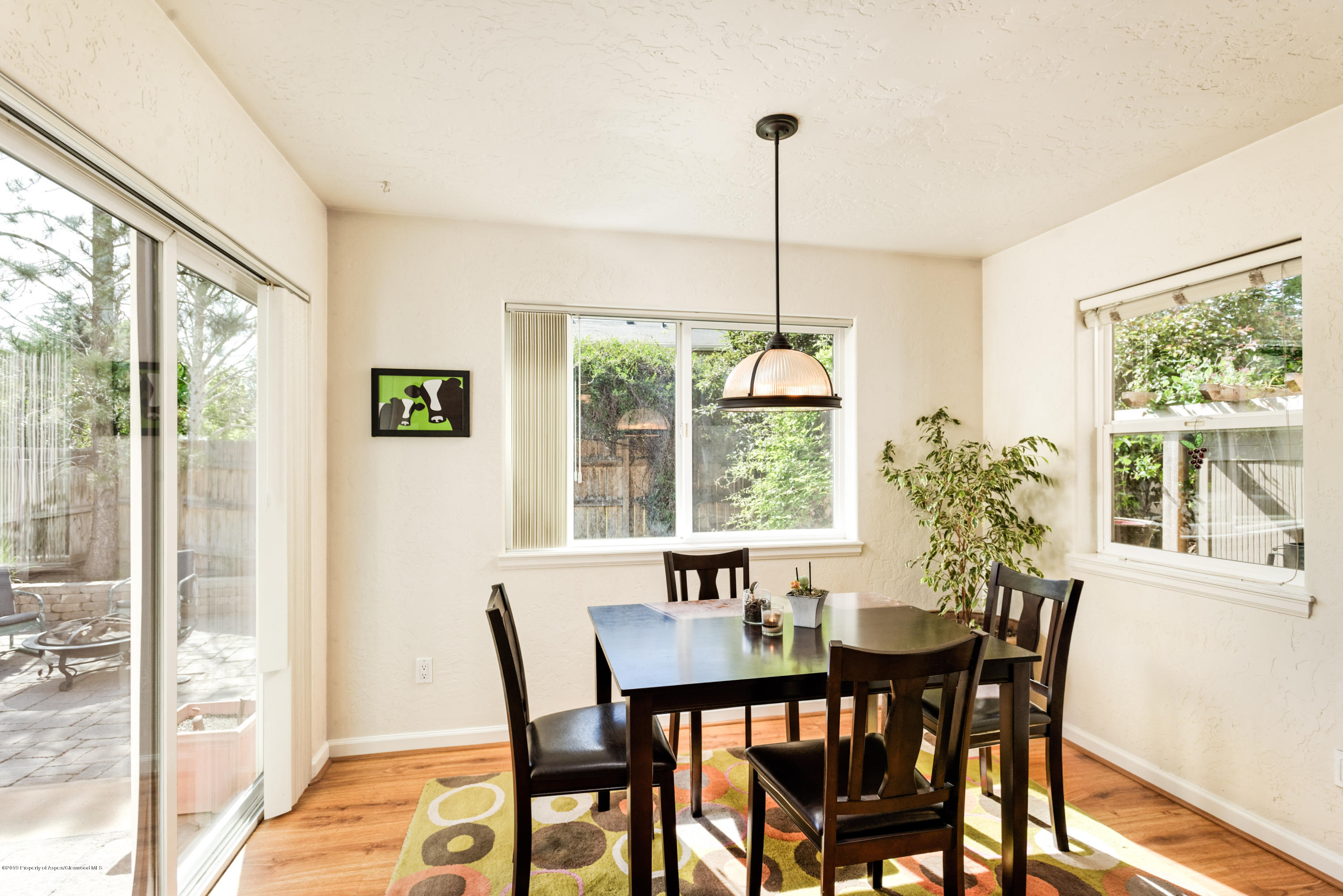 1050 Village Road Carbondale, CO 81623 - Photo 7 of 24 1050Village_HiRes015