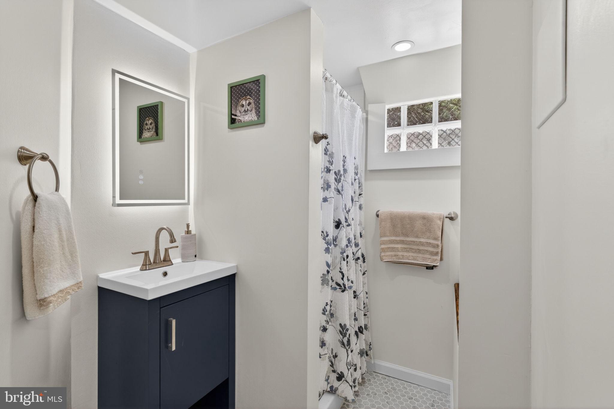 18 South Washington Street Baltimore, MD 21231 - Photo 42 of 57 a bathroom with a sink and a mirror