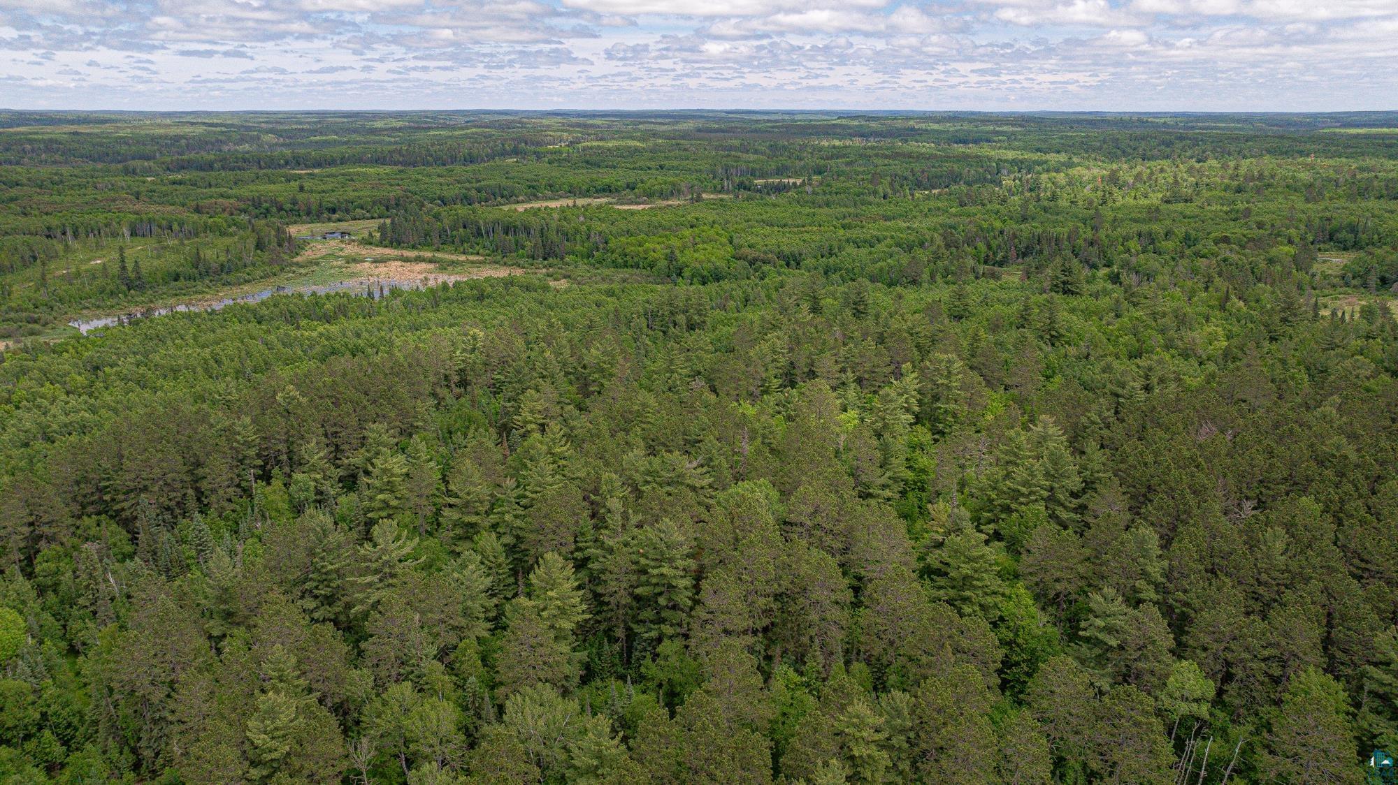 7280 Far North Road Buyck, MN 55771 - Photo 98 of 98