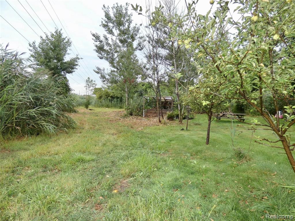 21332 Dix Toledo Road Woodhaven, MI 48183 - Photo 22 of 33