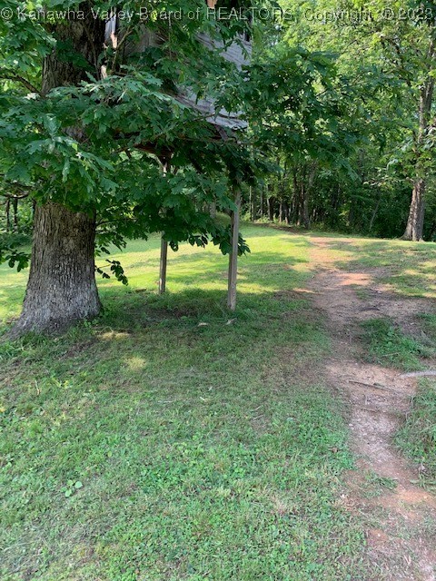 Tbd Windy Run Road Sutton, WV 26601 - Photo 11 of 33 Gallery Image 11