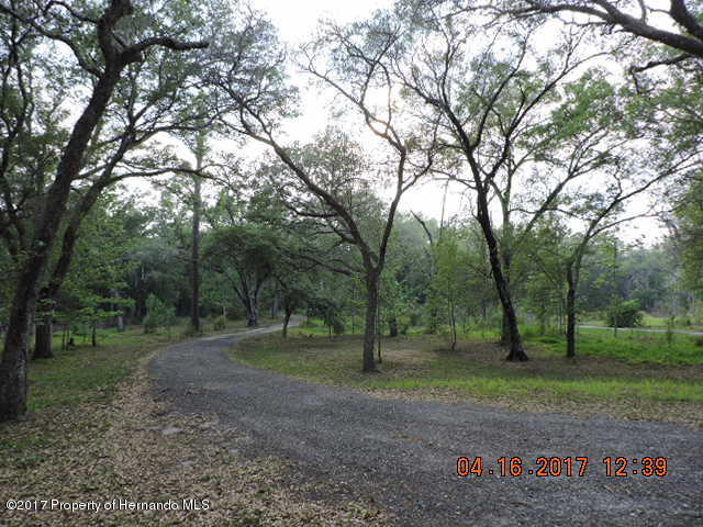 1156 Arlanie Road Brooksville, FL 34604 - Photo 7 of 27 a view of a forest with trees