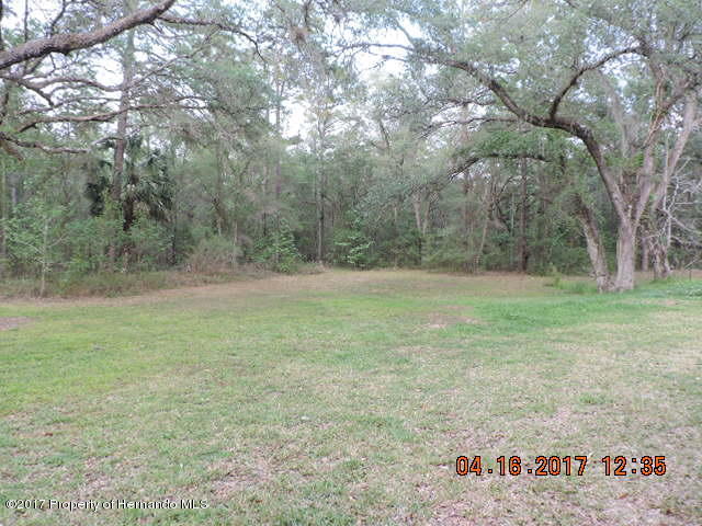 1156 Arlanie Road Brooksville, FL 34604 - Photo 8 of 27 a view of a field with trees