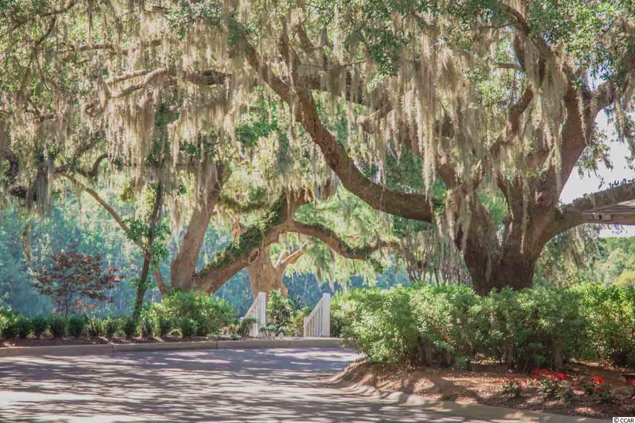 4697 Mill Pond Road Murrells Inlet, SC 29576 - Photo 22 of 22 Gallery Image 22