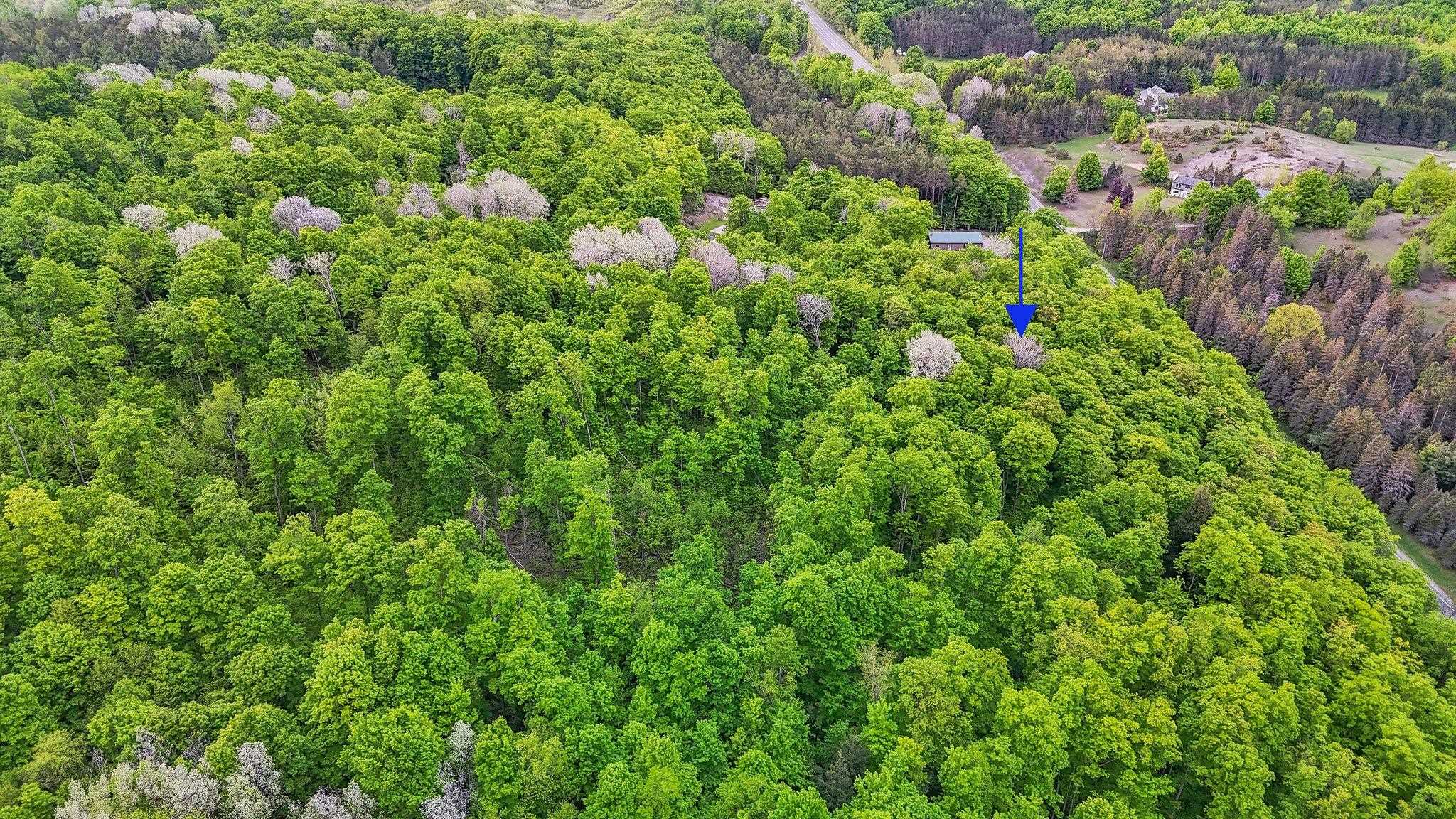 V/l South Coleman Road Maple City, MI 49664 - Photo 9 of 22