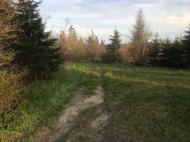 Xxx Dixie Road Lubec, ME 04652 - Photo 10 of 13 Photo