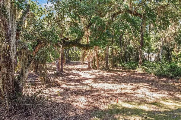 $55,500 | Lot 80 Tolomato Drive Southeast, Darien, GA 31305