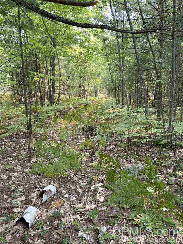 Tbd Timber Creek Road Marquette, MI 49855 - Photo 11 of 14