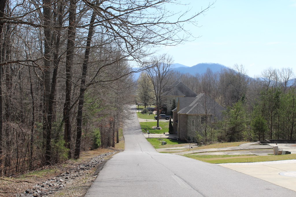 Lot 86 Licklog Ridge Hayesville, NC 28904 - Photo 3 of 6