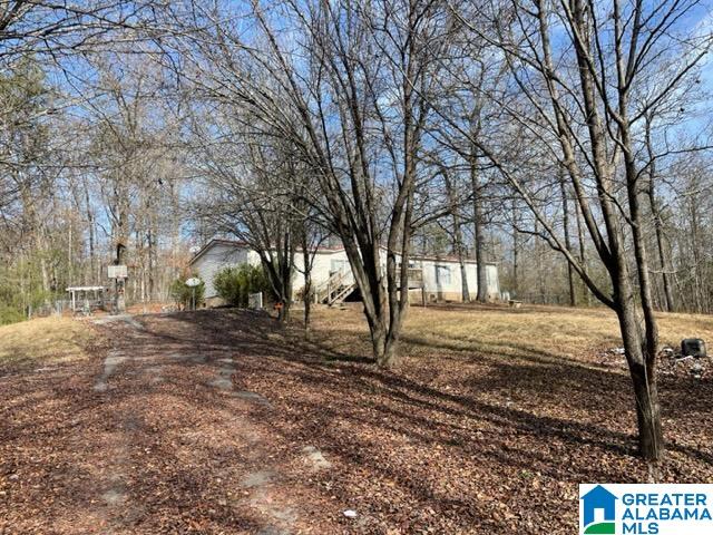2055 Sprayberry Road Pell City, AL 35125 - Photo 4 of 11
