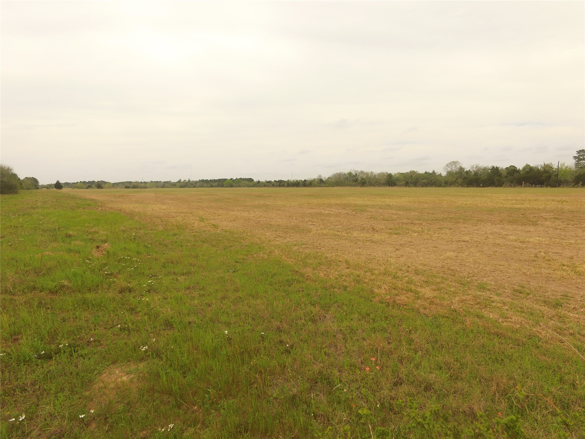 Tbd Kloss Road Sealy, TX 77474 - Photo 13 of 14