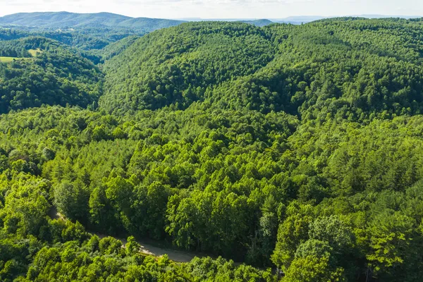 $250,000 | Tbd Sawmill Hill Road Northwest, Willis, VA 24380