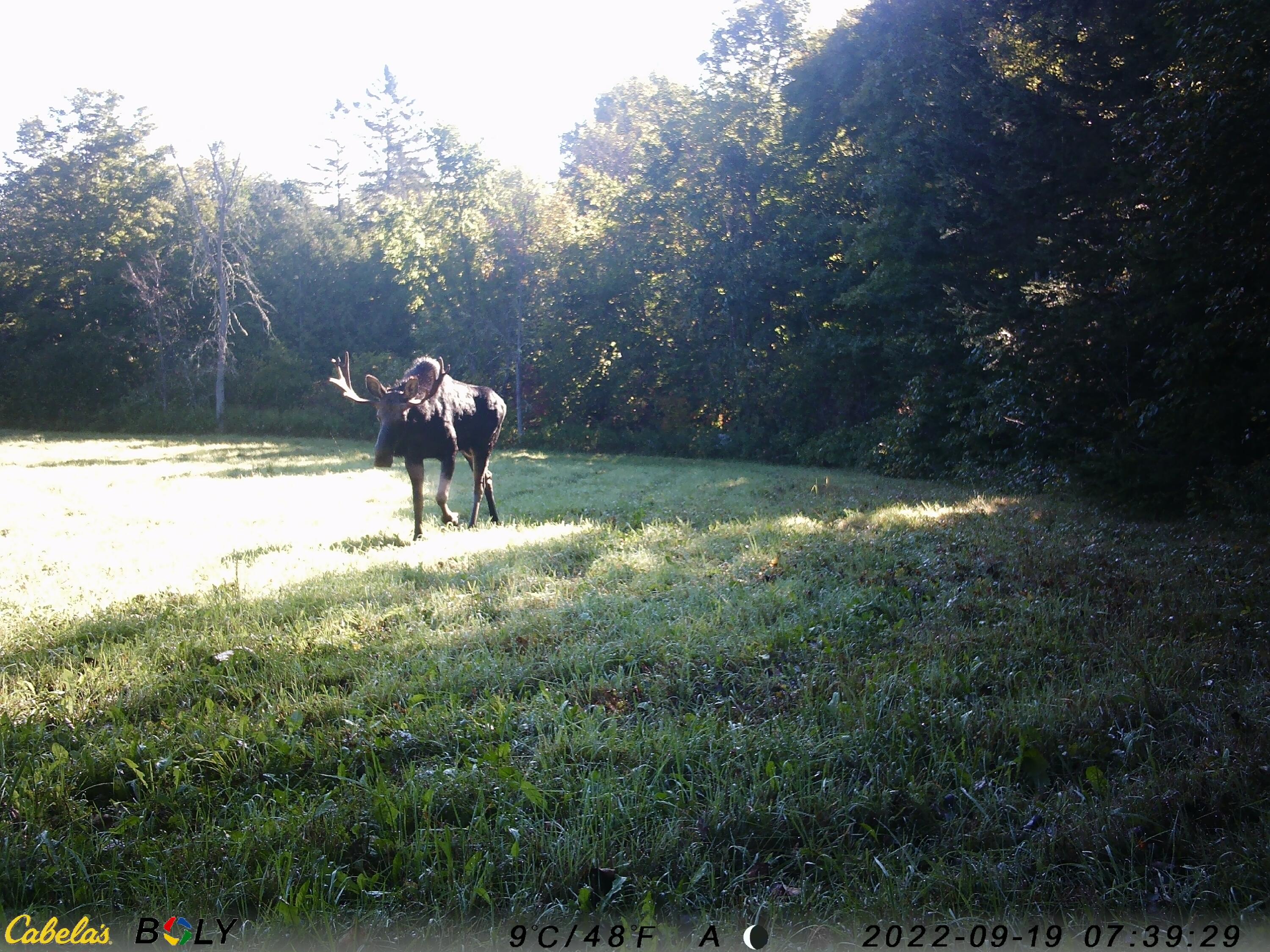 501 Gentle Road Littleton, ME 04730 - Photo 56 of 80 IMAG0029