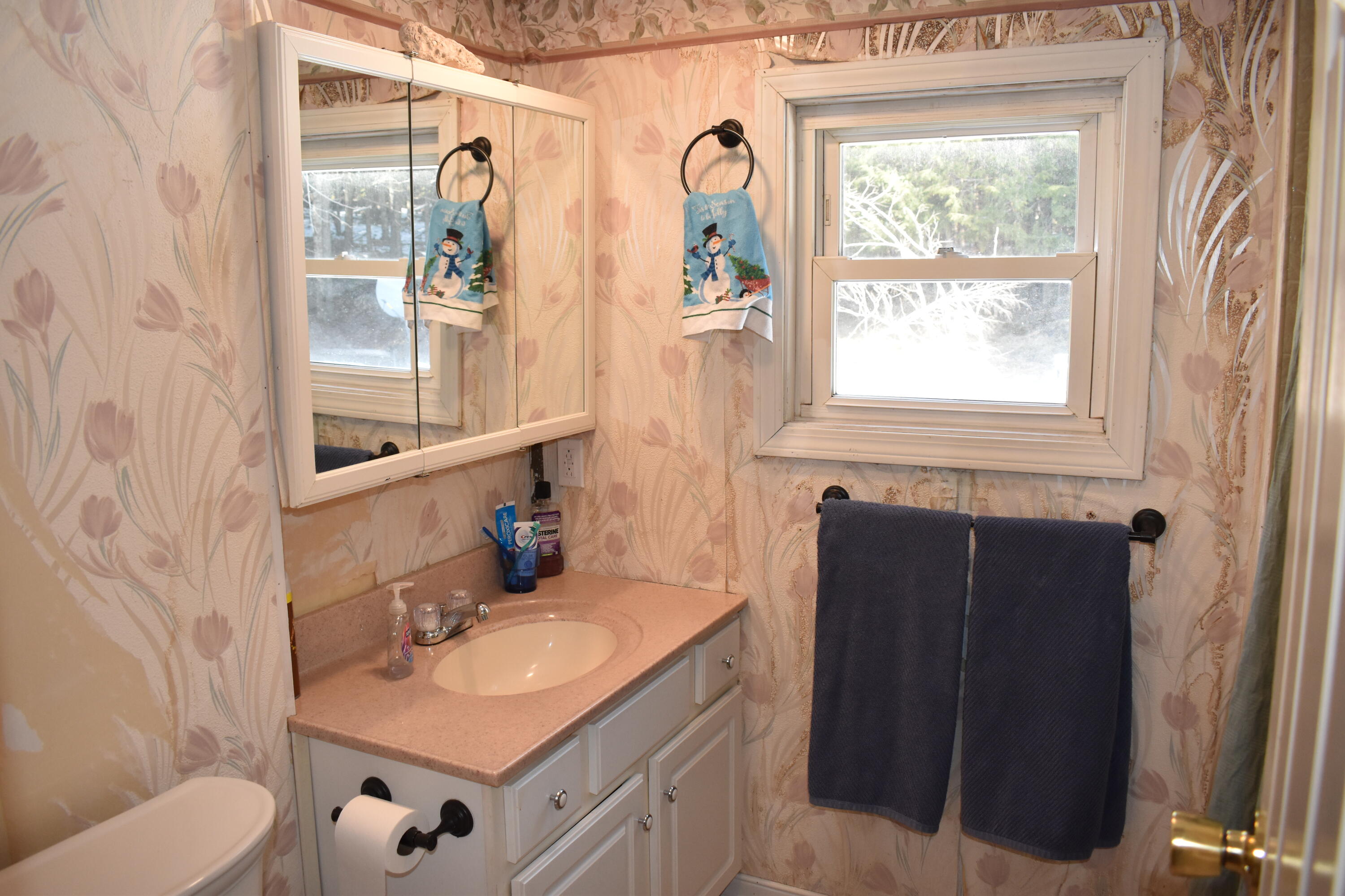 632 Main Road Burlington, ME 04417 - Photo 10 of 34 DSC_0790
