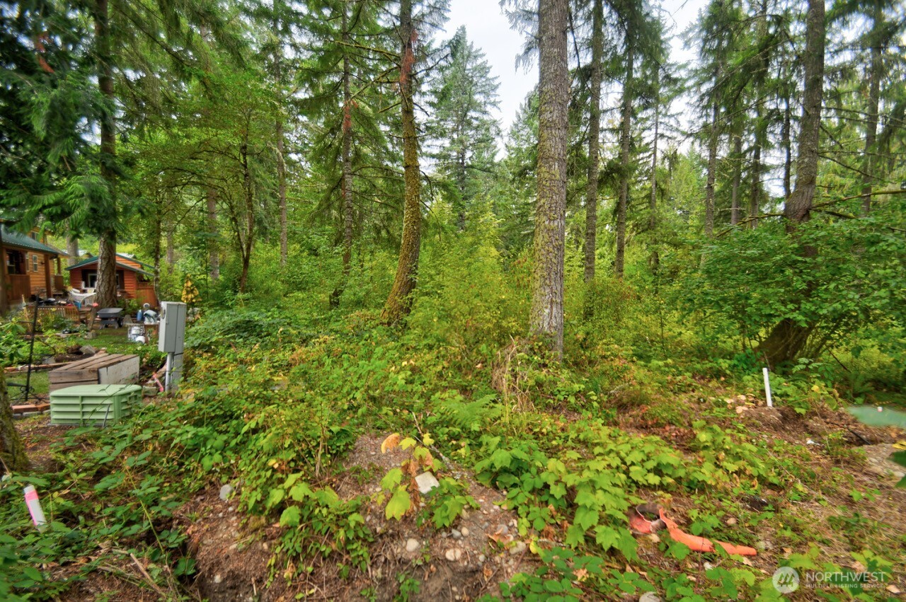 1546 Reservation Road Southeast, Unit 154 Olympia, WA 98513 - Photo 3 of 21 Gallery Image 3