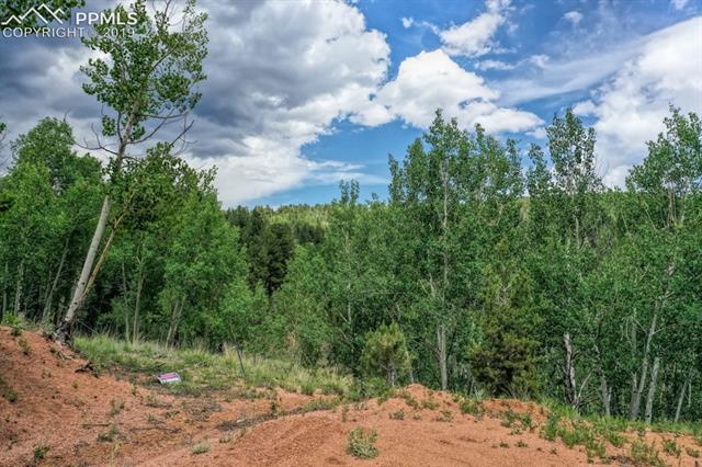 1087 Princess Road Cripple Creek, CO 80813 - Photo 12 of 14 Lot and surrounding area