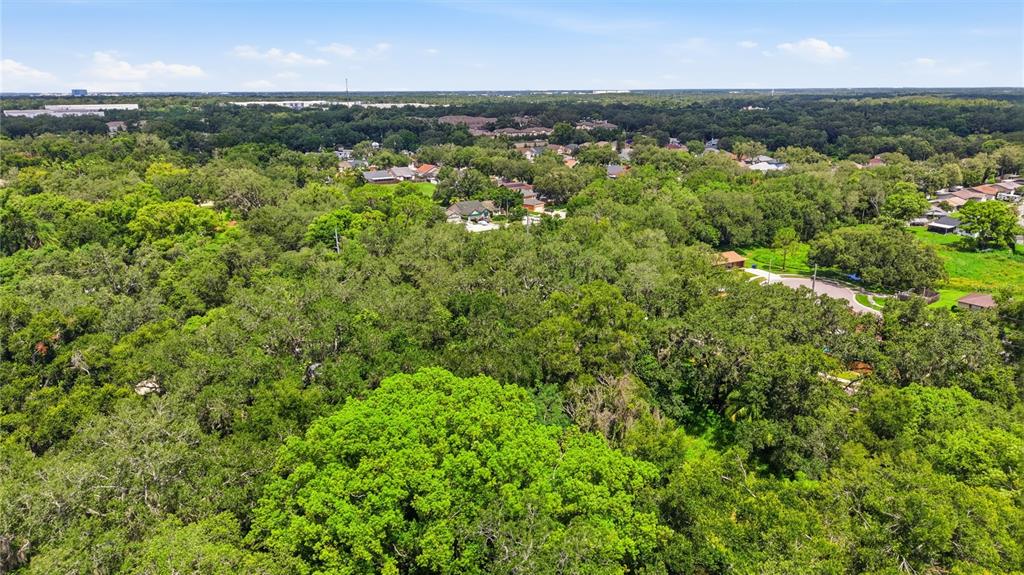 11211 Clay Pit Road Seffner, FL 33584 - Photo 4 of 23