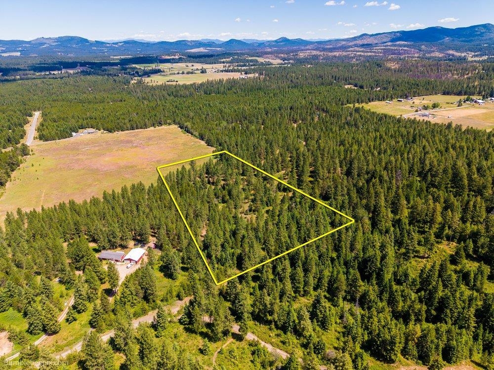 10307 Jasmine Lane Chattaroy, WA 99003 - Photo 1 of 49