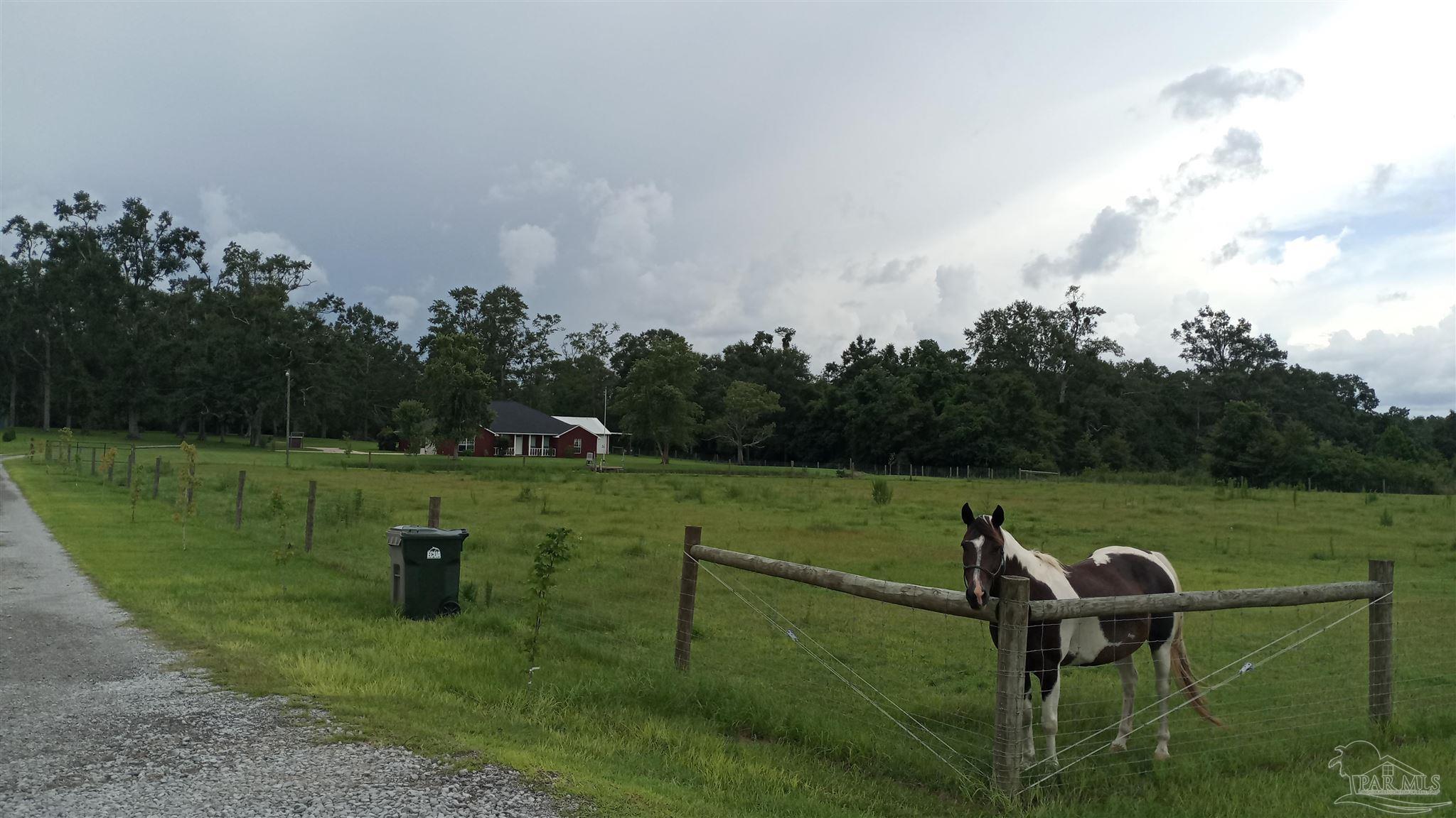 2418 Lank Road Molino, FL 32577 - Photo 3 of 21 Gallery Image 3