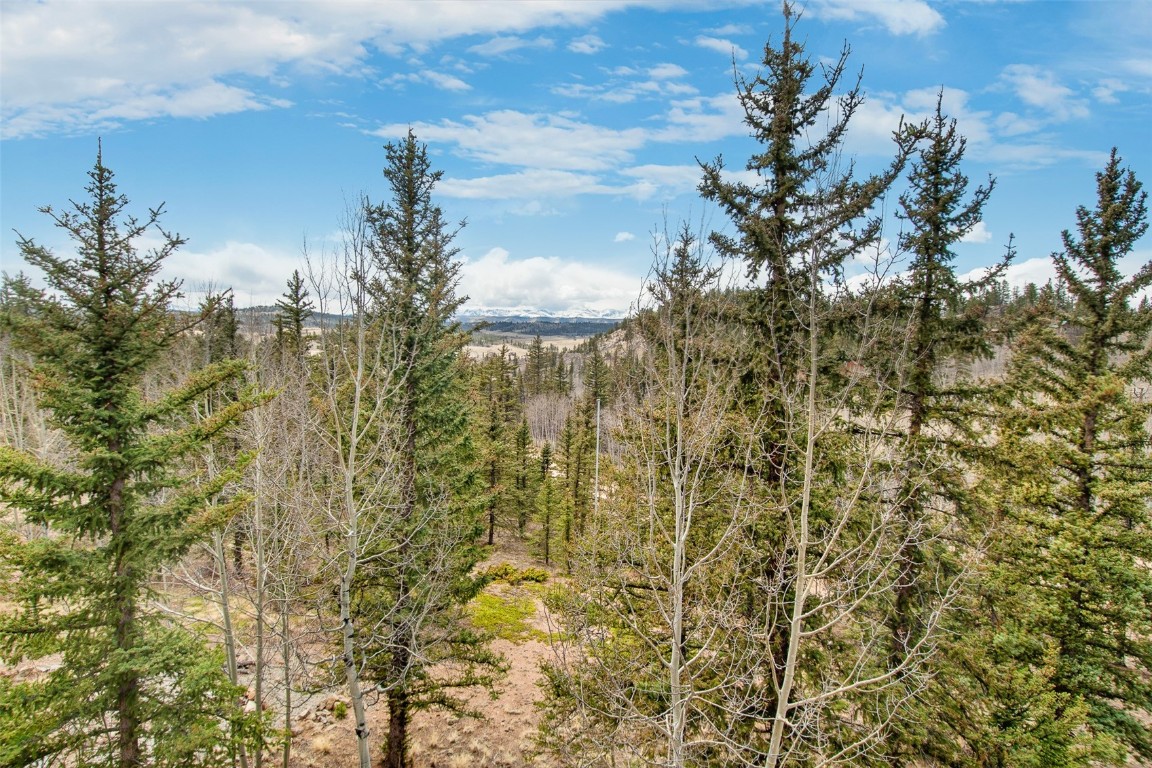 268 Chippewa Road Como, CO 80456 - Photo 41 of 48 Gallery Image 41