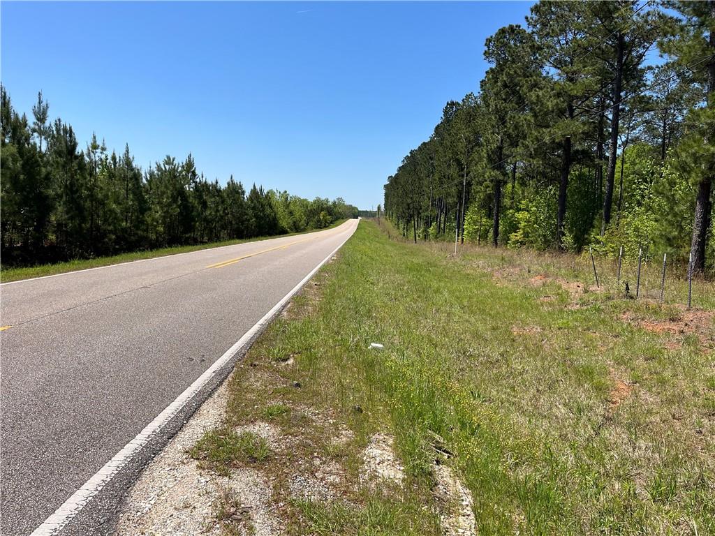 0 Greenburt Road Seale, AL 36875 - Photo 2 of 3 Gallery Image 2