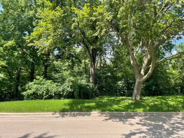a view of a yard