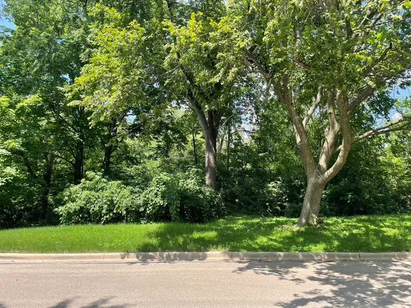 a view of a yard and a trees