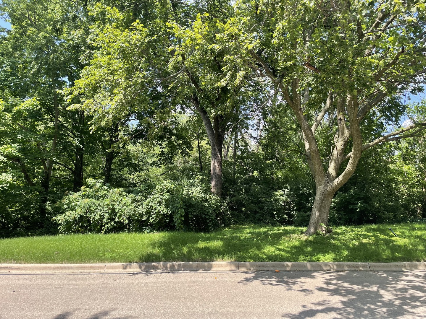 Lot 4 Manchester Avenue Batavia, IL 60510 - Photo 4 of 4 a view of a yard