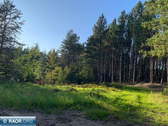 Tbd Tbd Samuelson Road Angora, MN 55703 - Photo 16 of 17