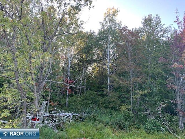 Tbd Tbd Samuelson Road Angora, MN 55703 - Photo 4 of 17