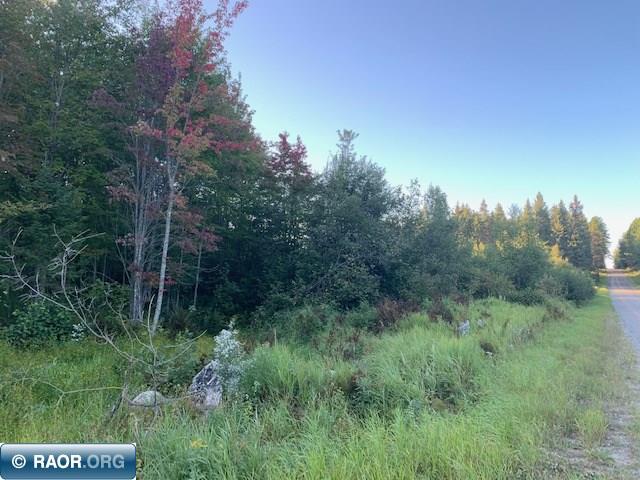 Tbd Tbd Samuelson Road Angora, MN 55703 - Photo 5 of 17