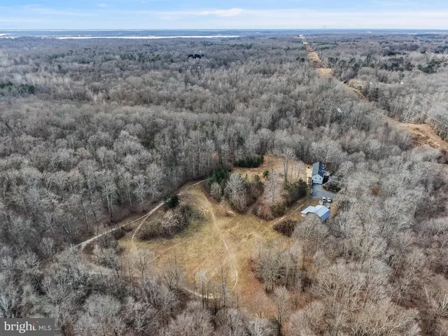 a view of backyard of the house