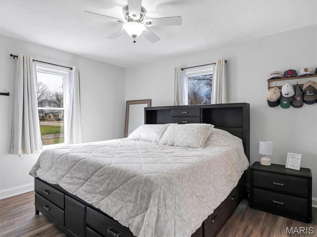 8524 Triple Lakes Road Dupo, IL 62239 - Photo 14 of 30