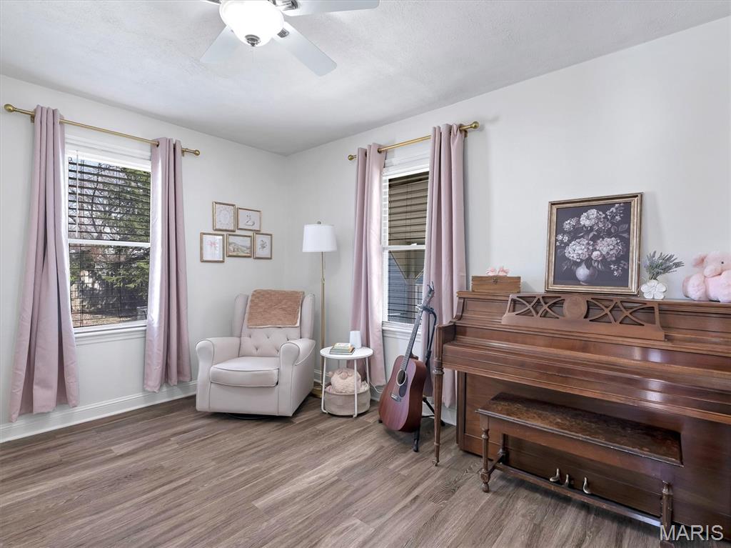 8524 Triple Lakes Road Dupo, IL 62239 - Photo 16 of 30