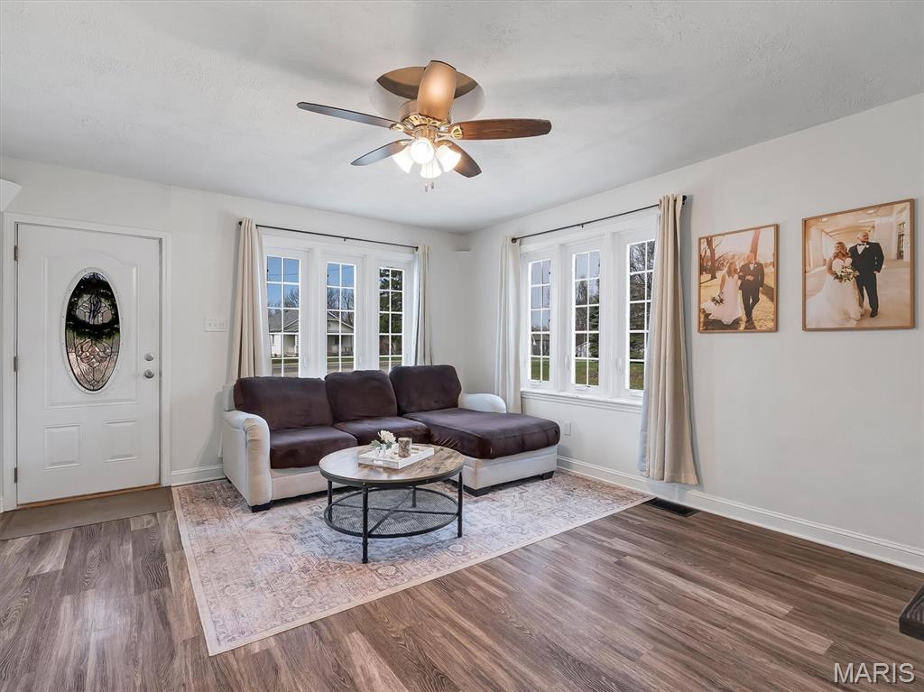 8524 Triple Lakes Road Dupo, IL 62239 - Photo 8 of 30