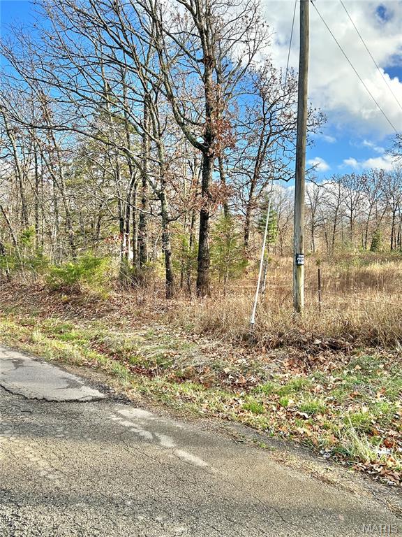 172 Cherryville Road Salem, MO 65560 - Photo 12 of 28