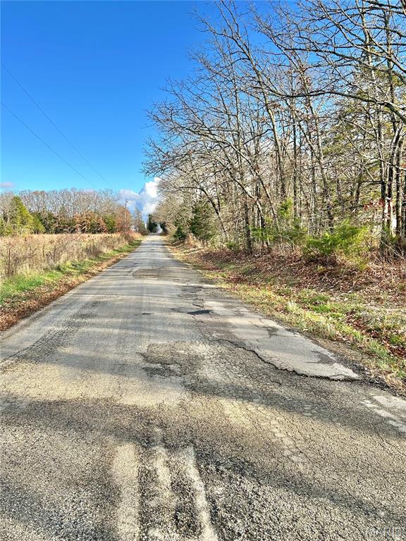 172 Cherryville Road Salem, MO 65560 - Photo 13 of 28