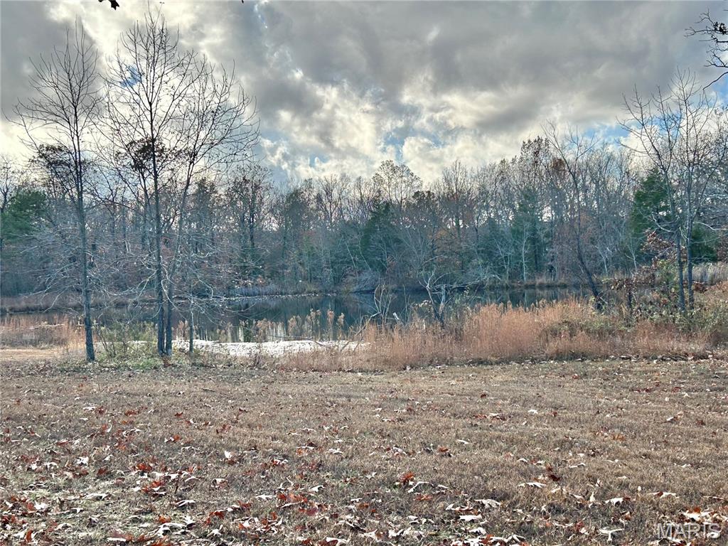 172 Cherryville Road Salem, MO 65560 - Photo 20 of 29