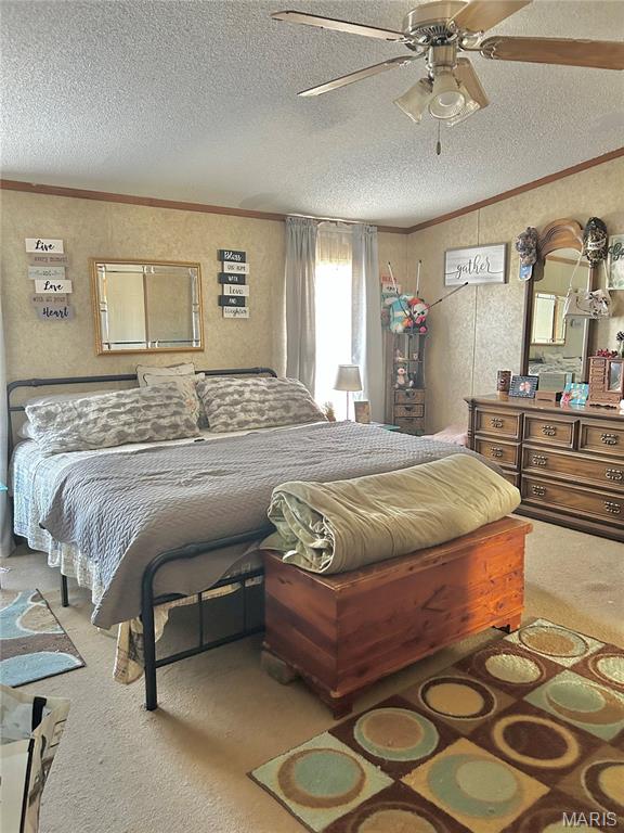 172 Cherryville Road Salem, MO 65560 - Photo 20 of 28