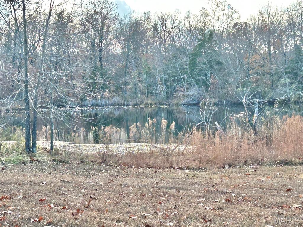 172 Cherryville Road Salem, MO 65560 - Photo 22 of 29