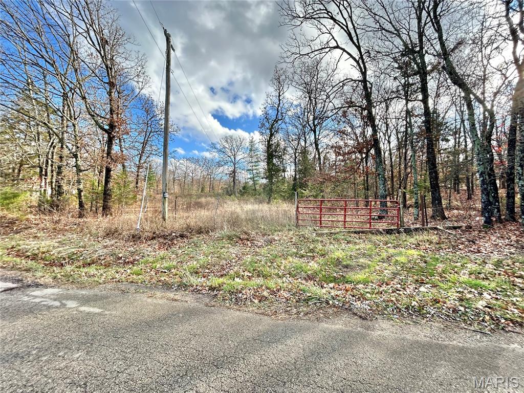 172 Cherryville Road Salem, MO 65560 - Photo 25 of 29