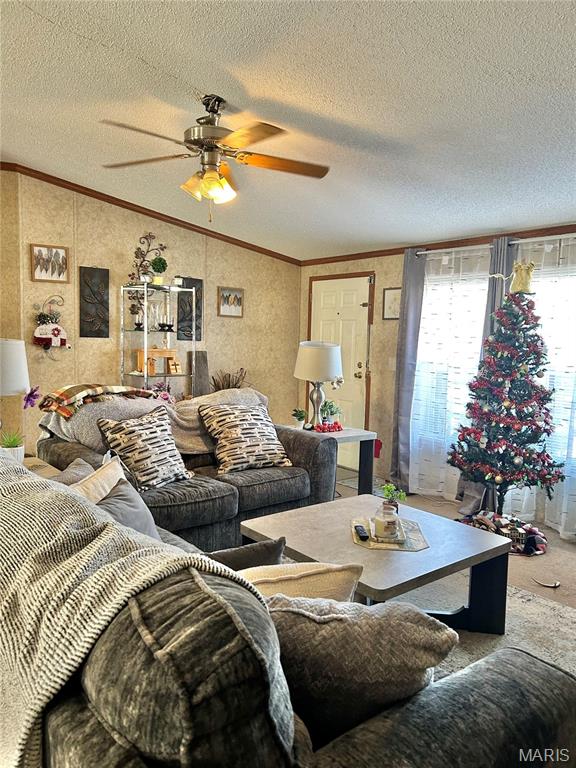 172 Cherryville Road Salem, MO 65560 - Photo 3 of 29