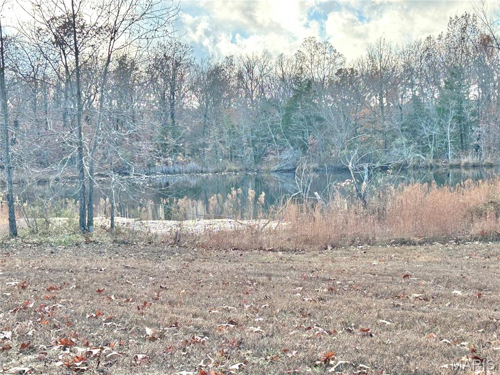 172 Cherryville Road Salem, MO 65560 - Photo 4 of 28