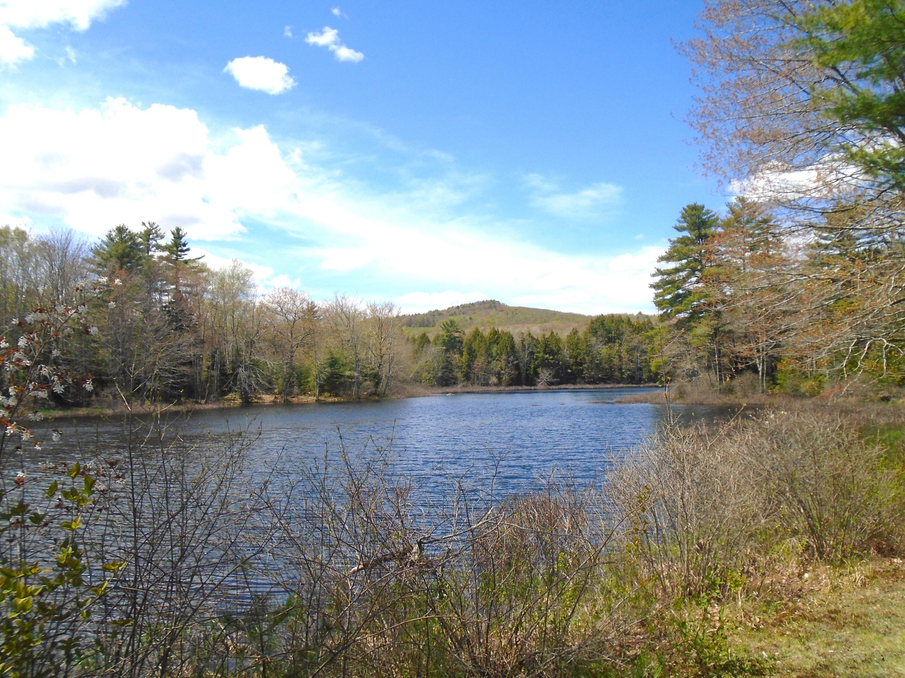108 Trues Pond Road Montville, ME 04941 - Photo 4 of 27 Trues Pond