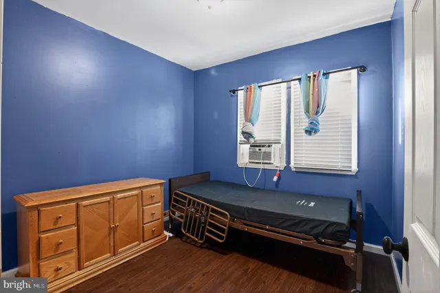 a view of a backyard with plants and large tree