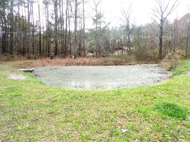 3257 Dearing Acres Road Dearing, GA 30808 - Photo 22 of 29 Pond
